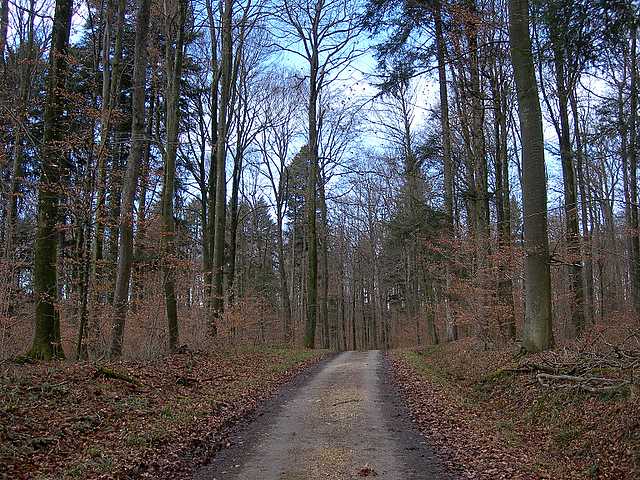 Hagenthal  (FRA)    17 Febbraio  2006
